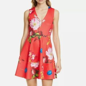 Ted Baker London Kinle skater dress